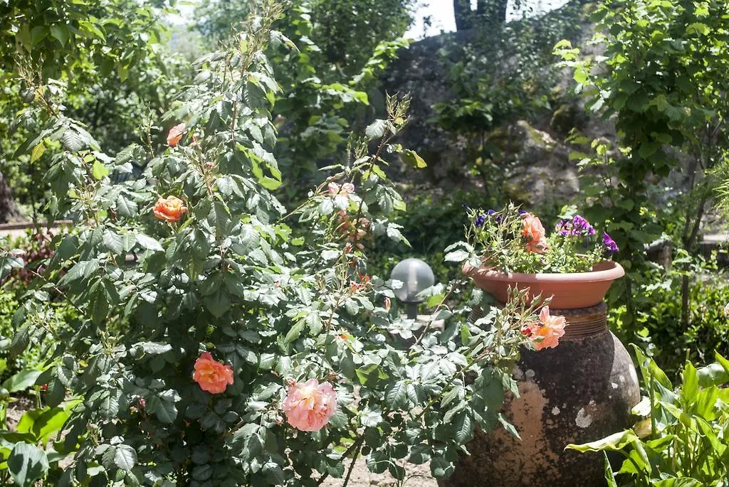 Agriturismo Fattoria di Grenne Ficarra Alloggio per agriturismo